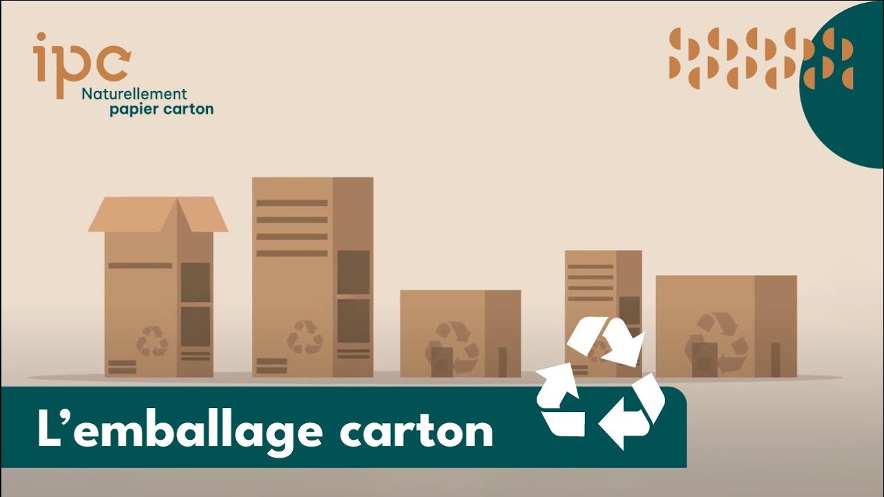EMBALLAGE CARTON : un emballage durable et adaptable 🌱