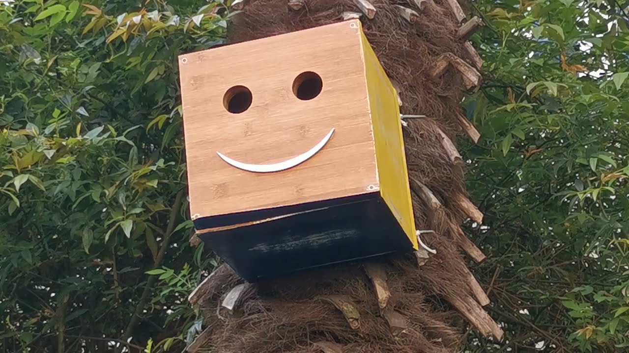 L'œuvre Habiter en oiseau - Exposition Assemblée générale de Christophe Viart