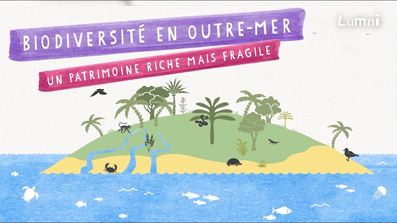 Biodiversité en Outre-mer : un patrimoine riche mais fragile - Décod'Actu | Lumni