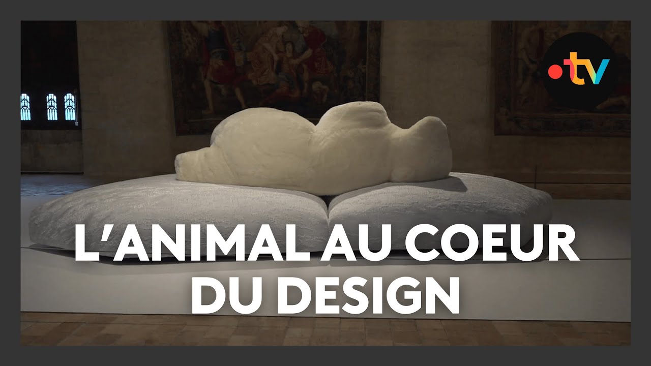 Quand l’art contemporain s’invite au Château de Châteaudun : un dialogue inédit avec le monde animal