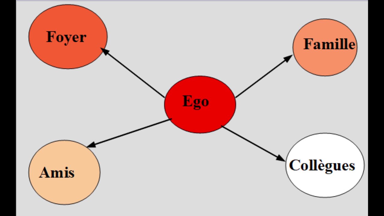Introduction à la sociologie - Chapitre 3 - Le lien social