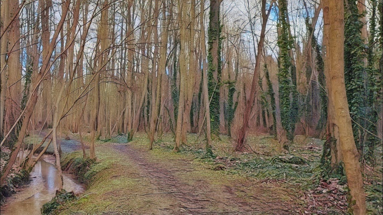PROMENADE : La Fontaine Saint Martin