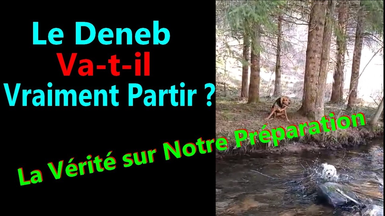 Le Deneb : Notre Croisade des Mers Face à l’Impossible